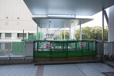 201101wakakusa-6.jpg
